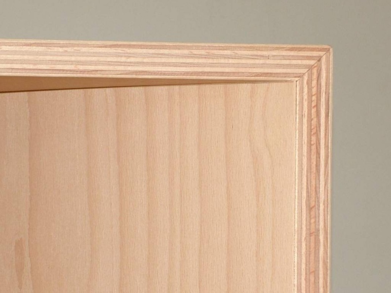 VOTT 828 Buche MPX  12.jpg